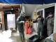 Probebefischung Dez.2009 011.jpg